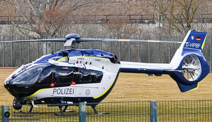 Der neue Edelweiß 6