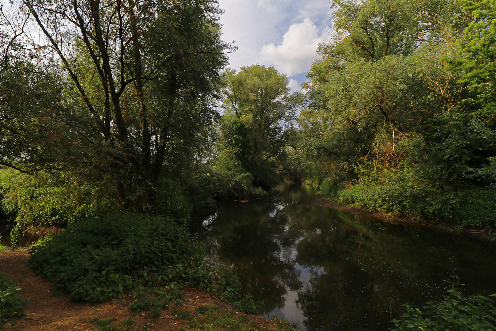 Der neue Flusslauf