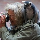 " Der neue Fotografenassistent "