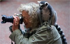 " Der neue Fotografenassistent "