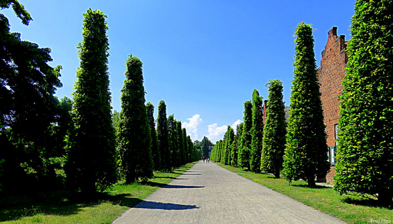 Der Neue Garten in Potsdam