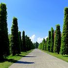 Der Neue Garten in Potsdam