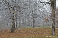 Der neue Garten in winterlicher Ruhe