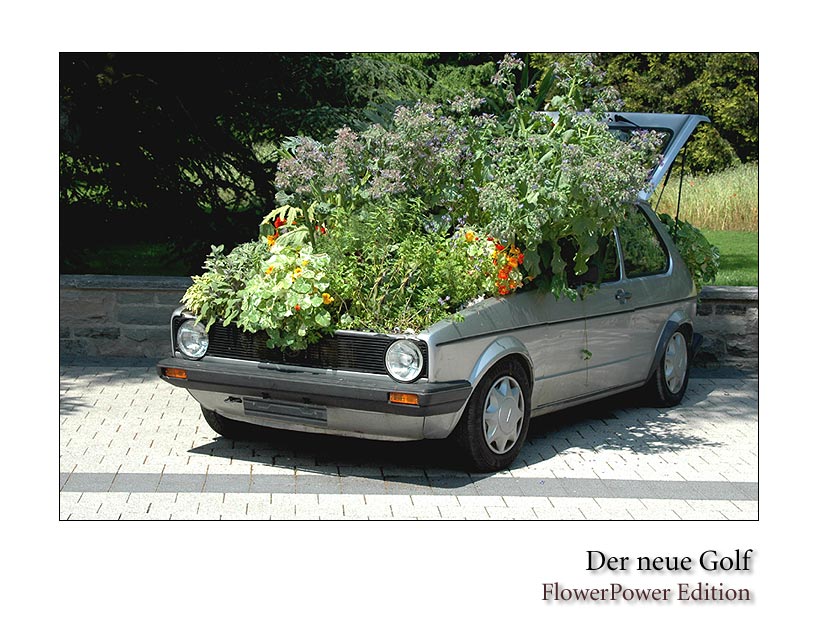 Der neue Golf