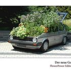 Der neue Golf