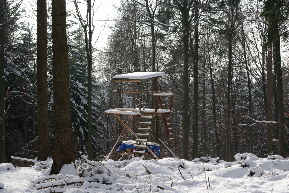 Der neue Hochsitz