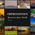 Der neue Kalender