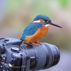 Der neue Kameramann ;-)