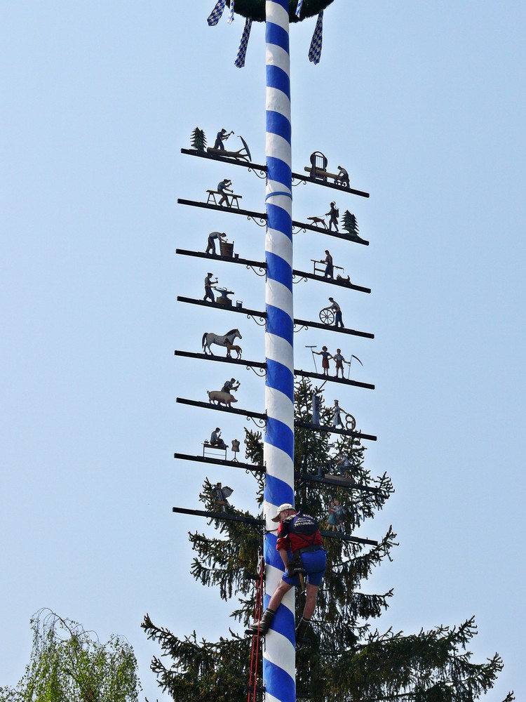 Der neue Maibaum...II