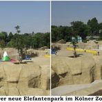 Der neue Park im Zoo