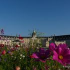 Der NEUE Schlossplatz in Karlsruhe