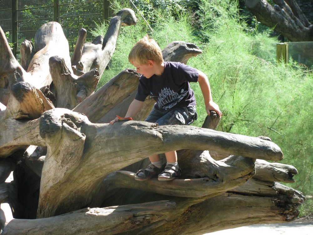 der neue spielplatz:-))