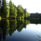 Der NEUE TEICH im Solling beim Sonnenuntergang