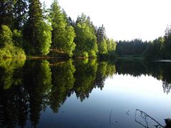 Der NEUE TEICH im Solling beim Sonnenuntergang