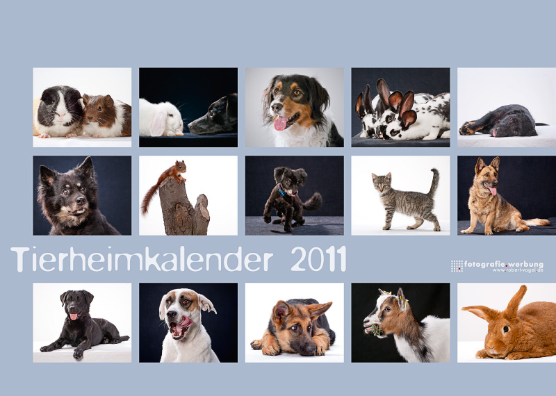 der neue tierheimkalender 2011