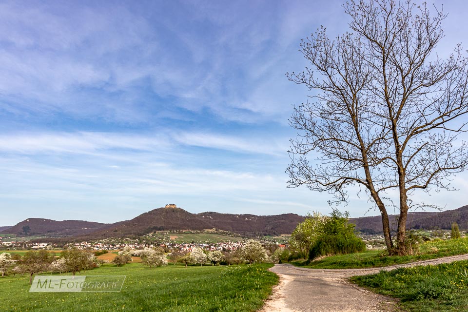 Der Neuffen im Frühlingskleid 2