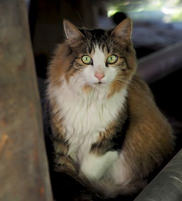 Der neugierige Blick..! - Qu'est-ce que tu me veux?