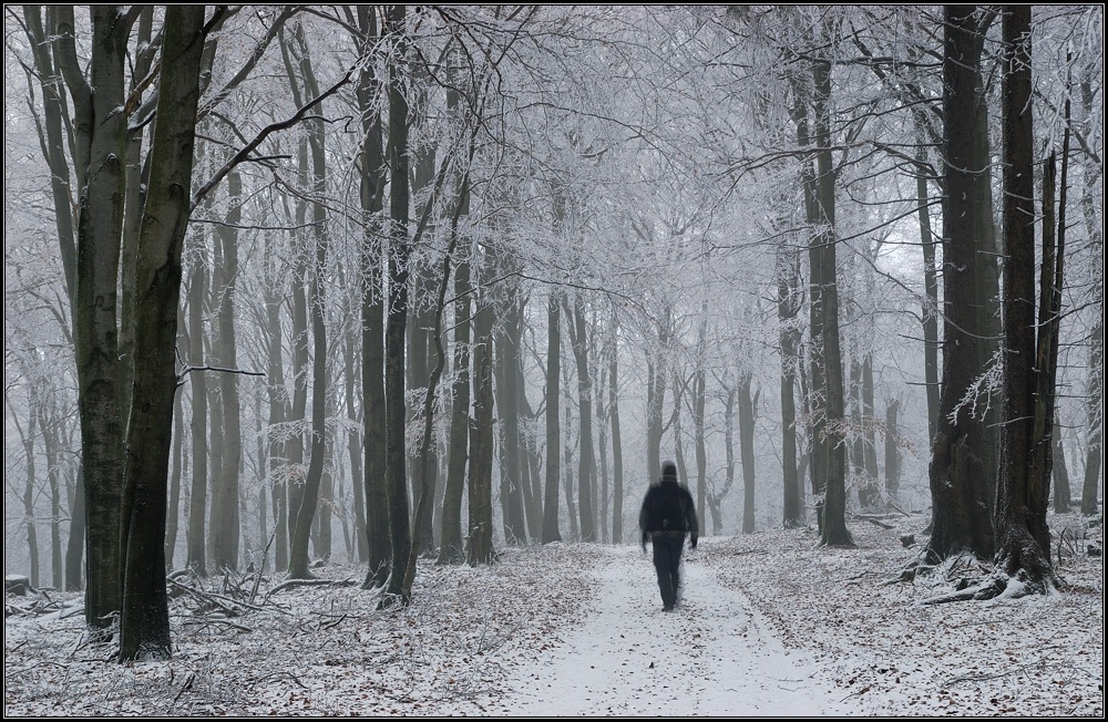 Der Neujahrsspaziergang