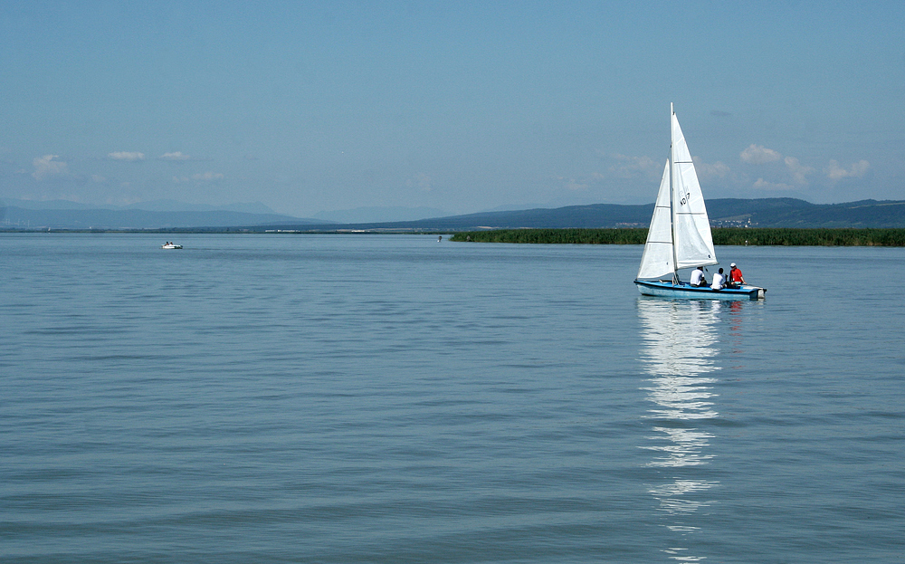 Der Neusiedler See