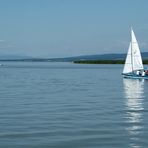 Der Neusiedler See