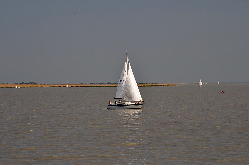 Der Neusiedlersee...