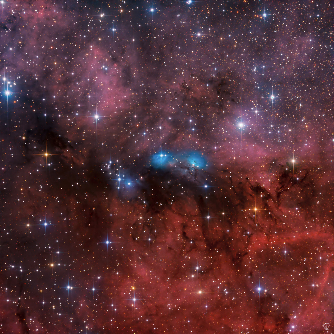 Der NGC 6914 Nebelkomplex