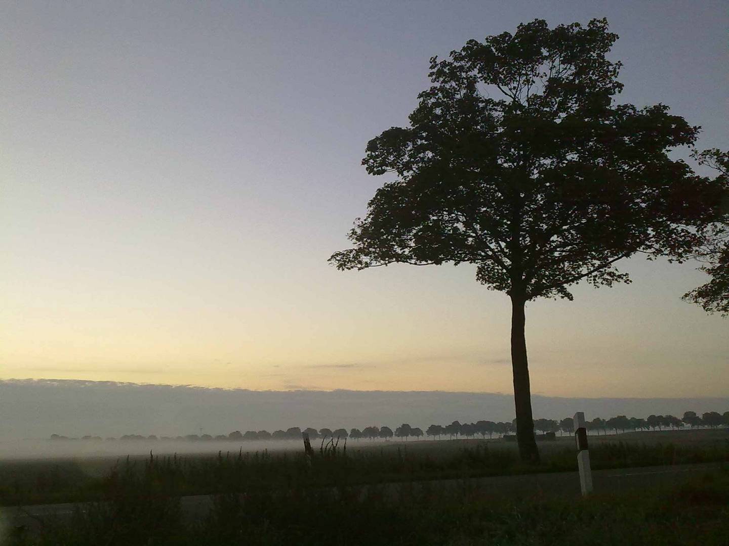 Der Niederrhein bei Aldekerk