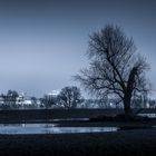 Der Niederrhein im Hochwasser