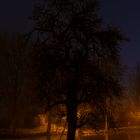 Der Niederrhein im Hochwasser