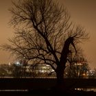 Der Niederrhein im Hochwasser