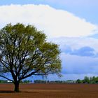 Der Niederrhein im Raum Viersen (Kempen)