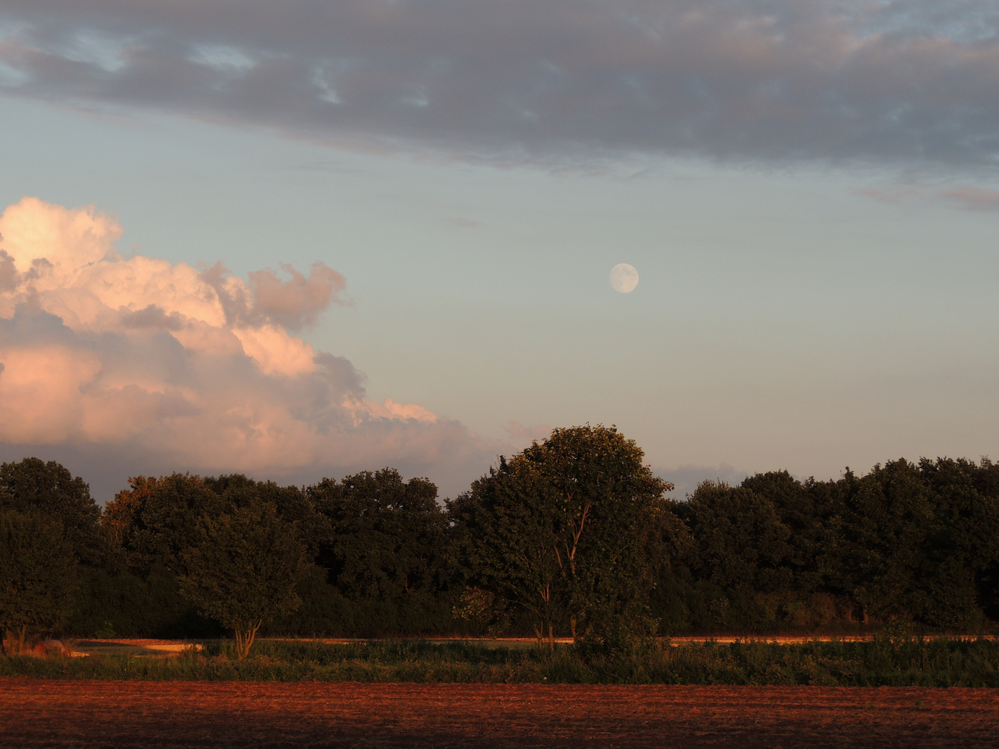 Der Niederrhein im Sommerabendlicht