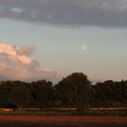 Der Niederrhein im Sommerabendlicht