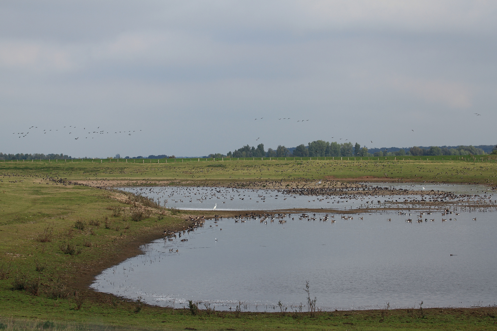 Der Niederrhein, weite Landschaften