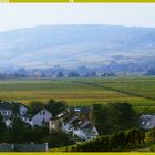 Der Niederwald oberhalb Rüdesheim