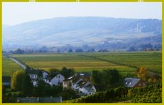 Der Niederwald oberhalb Rüdesheim