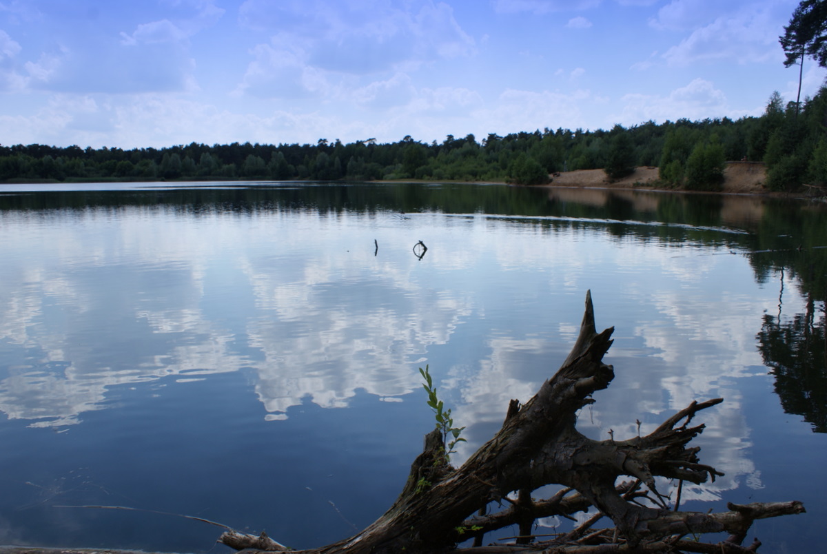 Der Niedringhaussee bei Westerkappeln