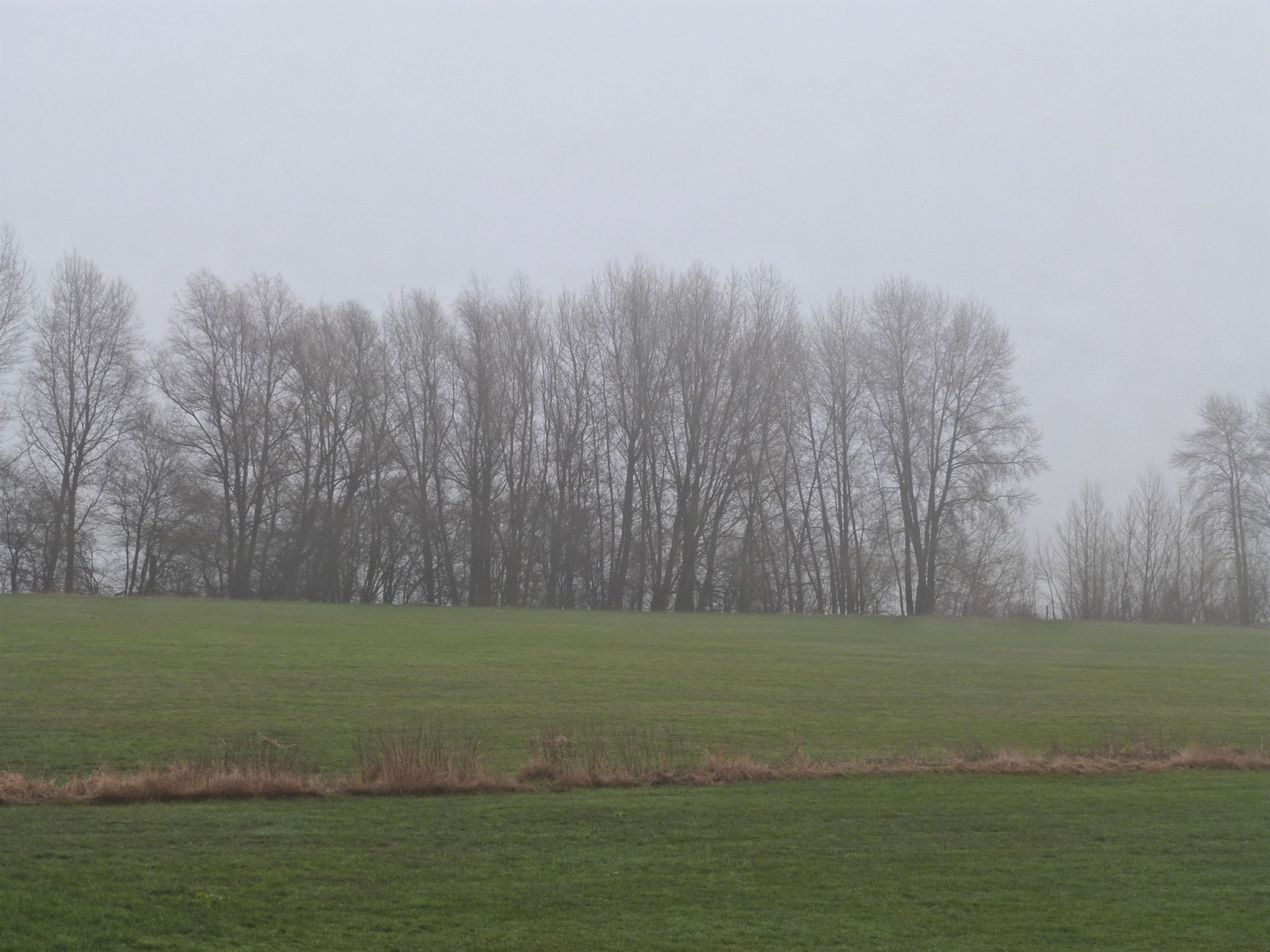 Der Niiederrhein im winterlichen Nebel