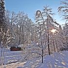 Der Nikolaus im Preßnitztal