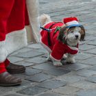 Der Nikolaus mit seinem Hund