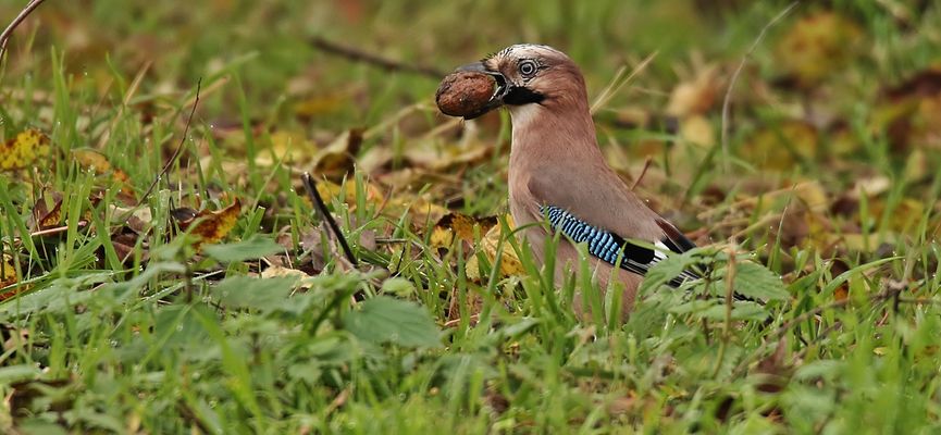 Der nimmt den Mund aber ganz schön voll. 