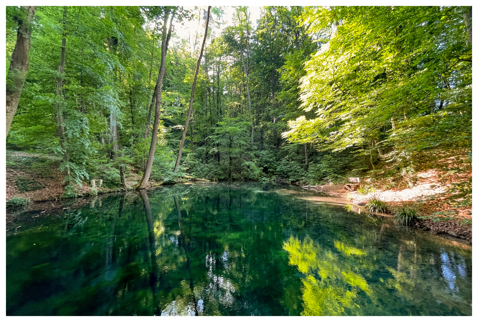 Der Nixenweiher