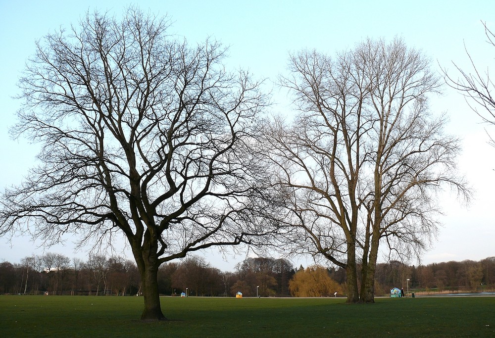 Der noch gar nicht frühlingshafte Stadtpark