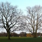 Der noch gar nicht frühlingshafte Stadtpark