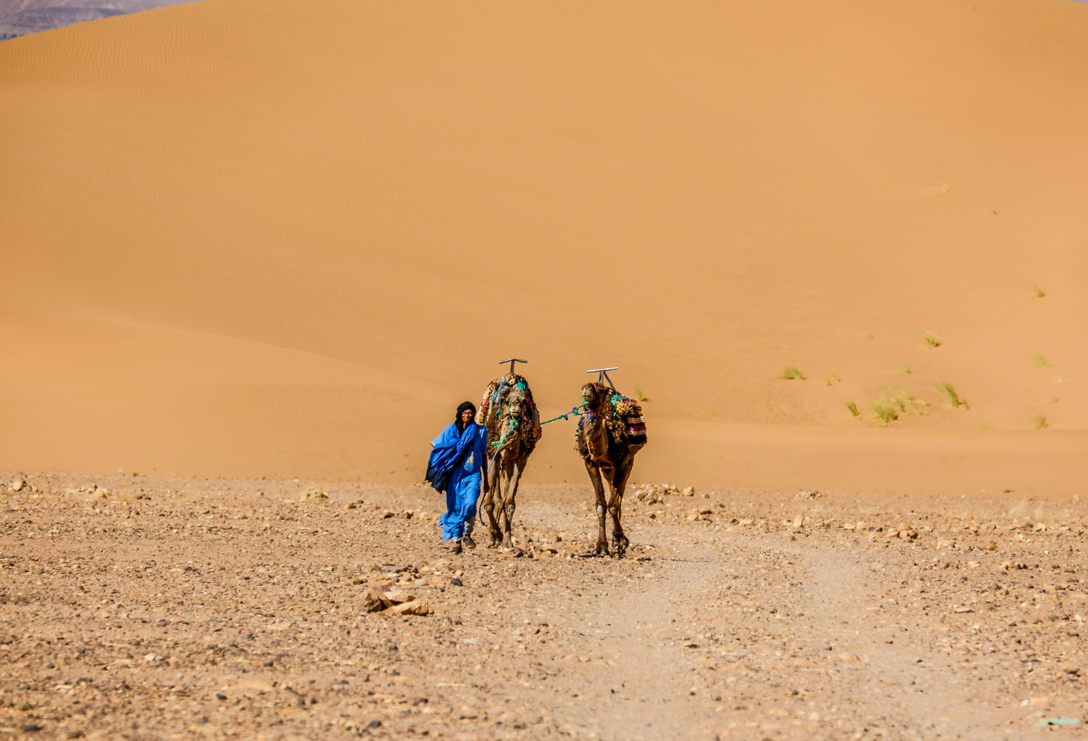 Der Nomade Foto & Bild erwachsene menschen, menschen bei der arbeit