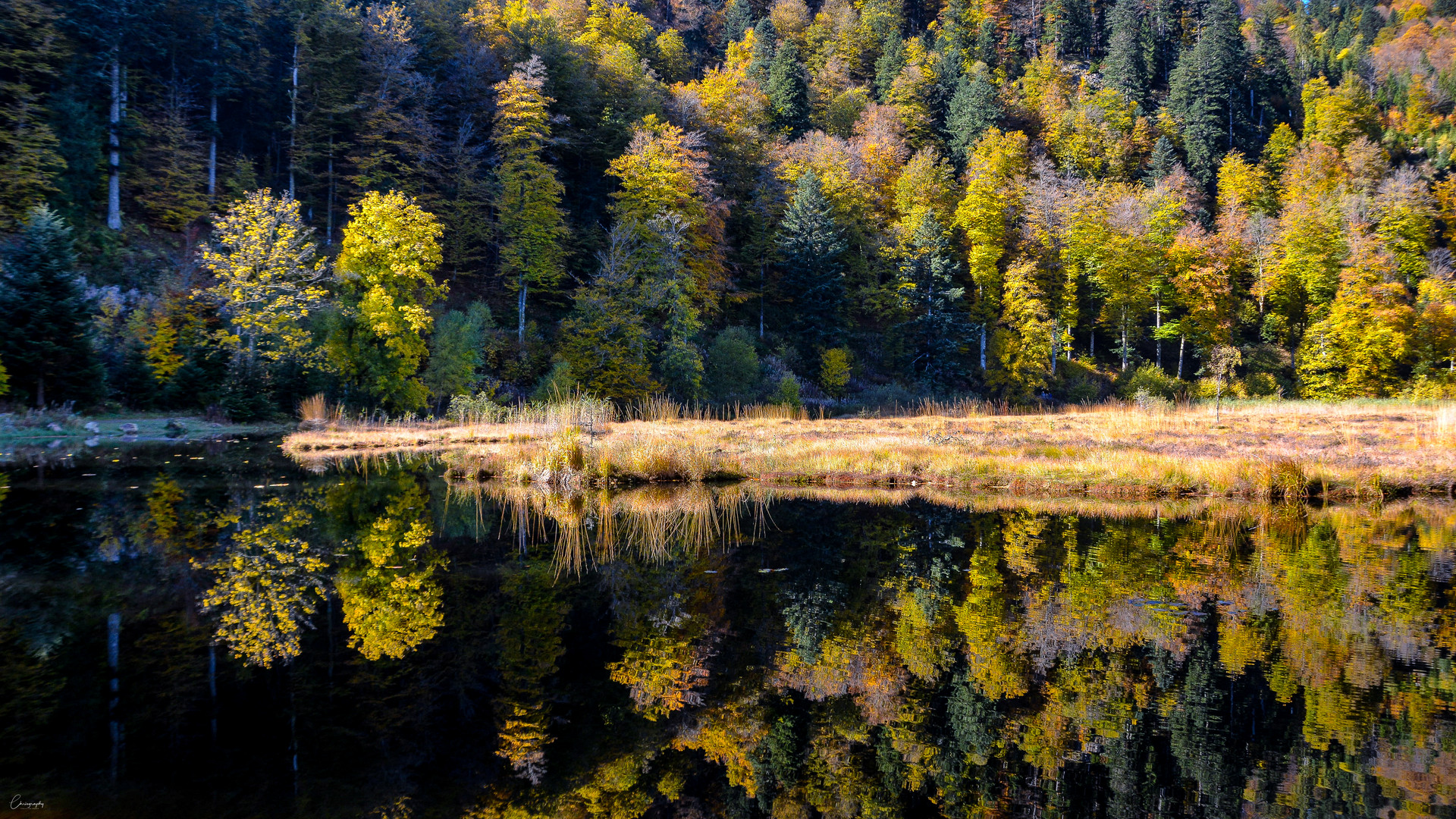 Der Nonnenmattweiher im Herbst