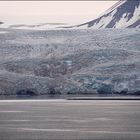 Der Nordenskiöld-Gletscher