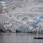 Der Nordenskiöld-Gletscher