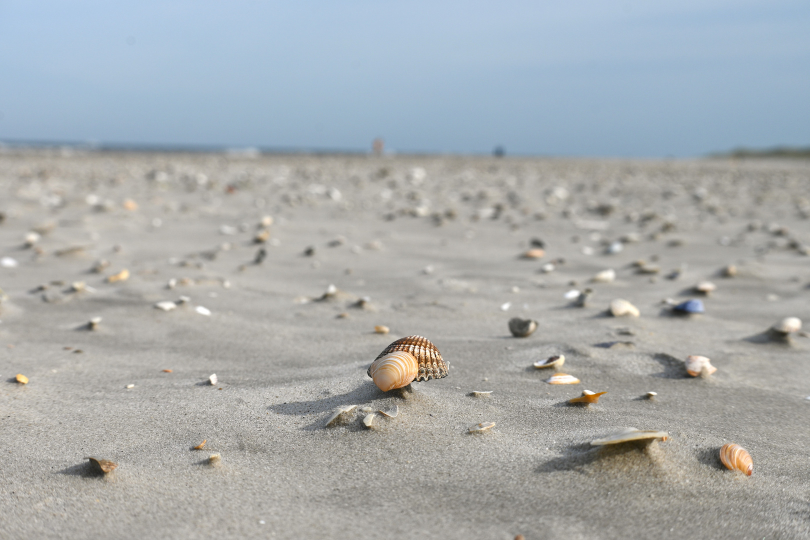 Der Nordseestrand im Herbst