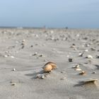 Der Nordseestrand im Herbst